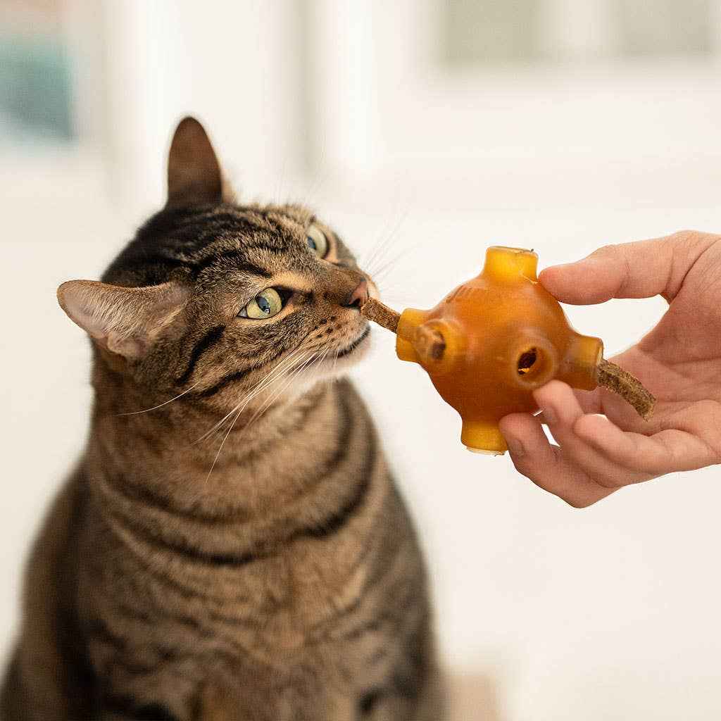 🦷 Snack Dentário Natural de Salmão – Higiene e Sabor num só!