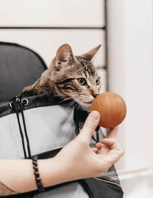 Dupla Divertida: Bolas de Resina Natural para Gatos