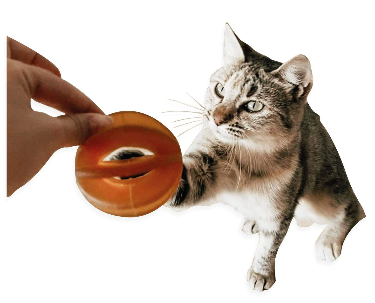 Rub Funny Ball - Brinquedo Orgânico para Gatos - Gatursos
