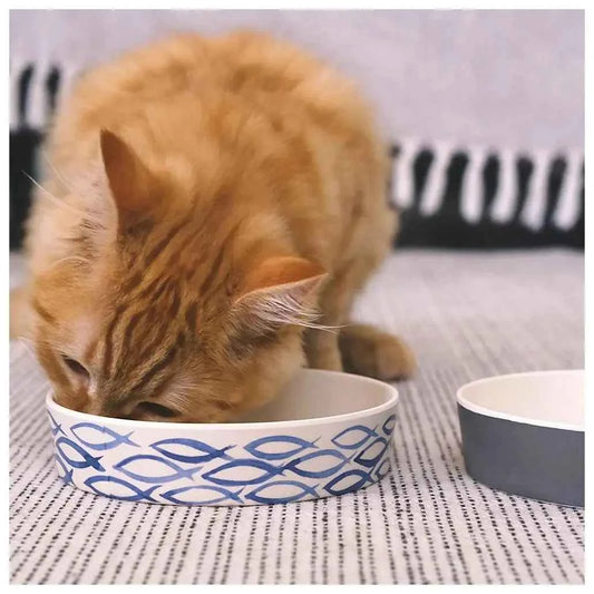 Comedouro Bambu Beco - Peixes