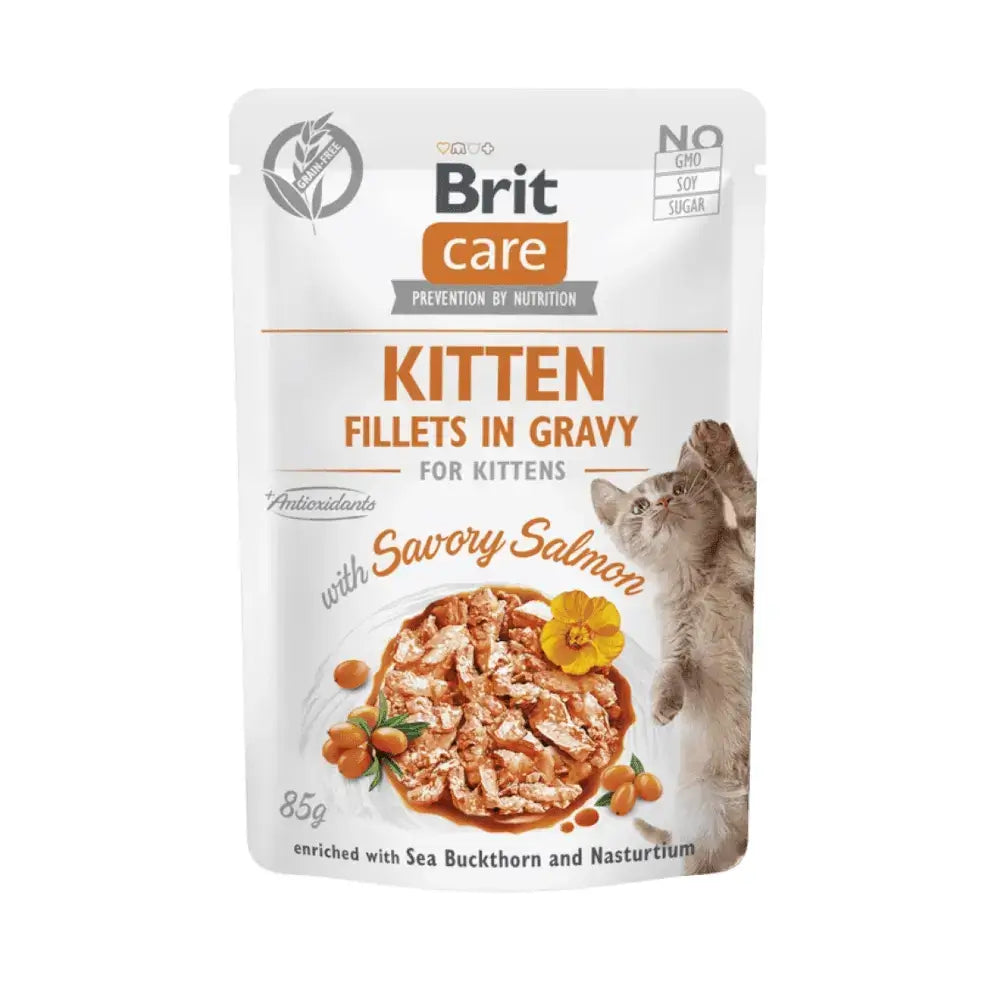 Brit Care Kitten Fillets in Gravy with Savory Salmon - Gatursos