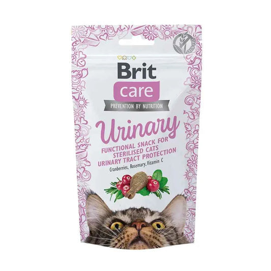 Snacks Saudáveis para Cuidados Urinários - Brit Care