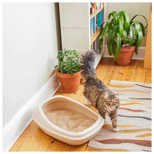 Caixa de Areia para gatos Beco Pets