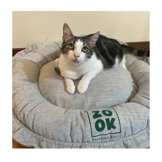 Gato cinzento e branco a deitado no colchão aberto da cama Zook Gravel