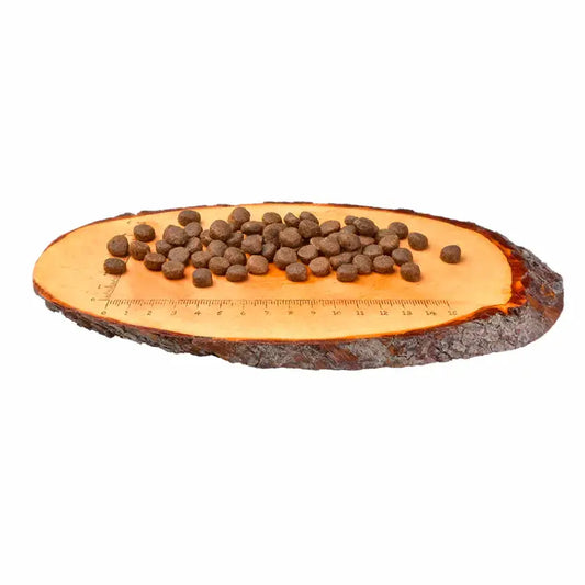 Ração Carnilove para gatos de raça grande, sem cereais, com pato e peru.