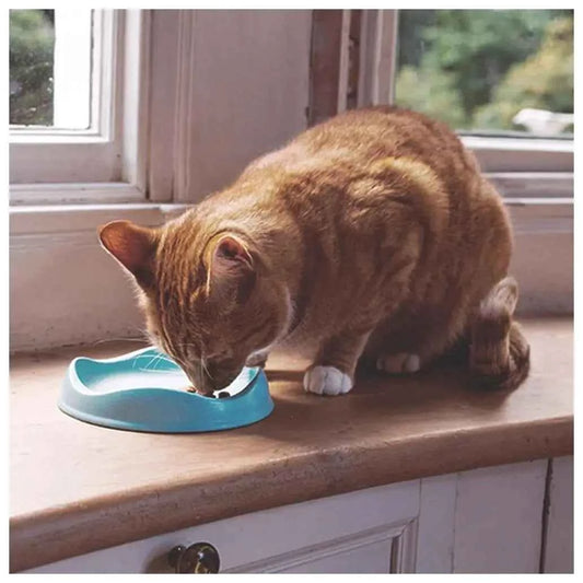 Comedouro Baixo Feito c/ Fibras Naturais Beco Pets