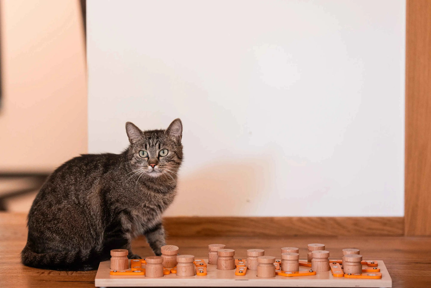 MICE: Quebra-Cabeças para Gatos