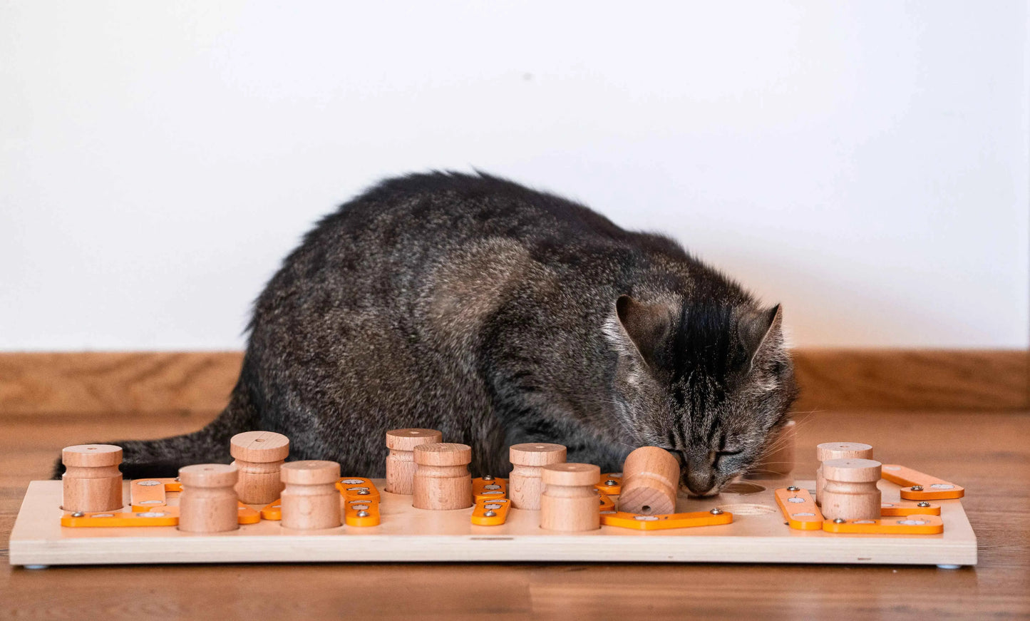 MICE: Quebra-Cabeças para Gatos
