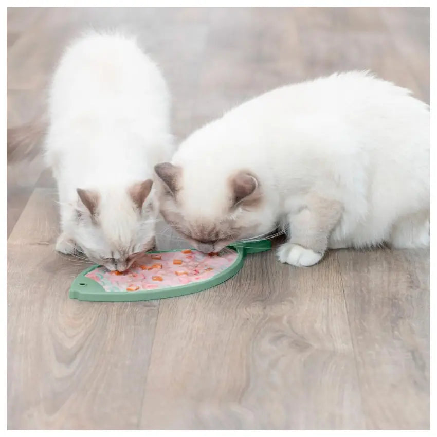 Lick N Snack Silicone Mat