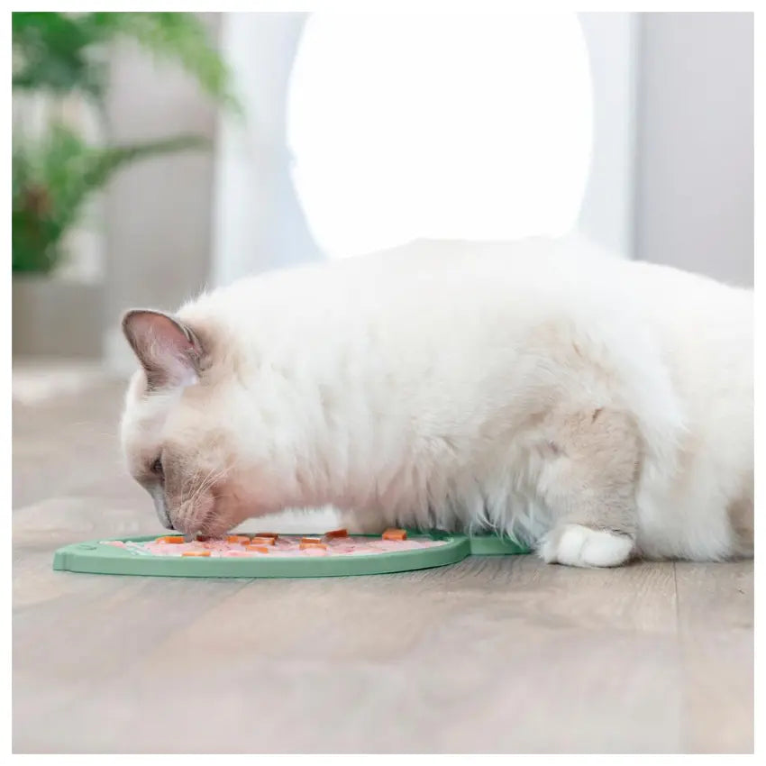 Lick N Snack Silicone Mat