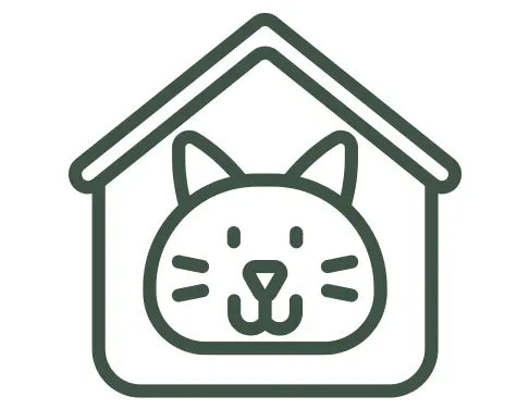 feature-item-4