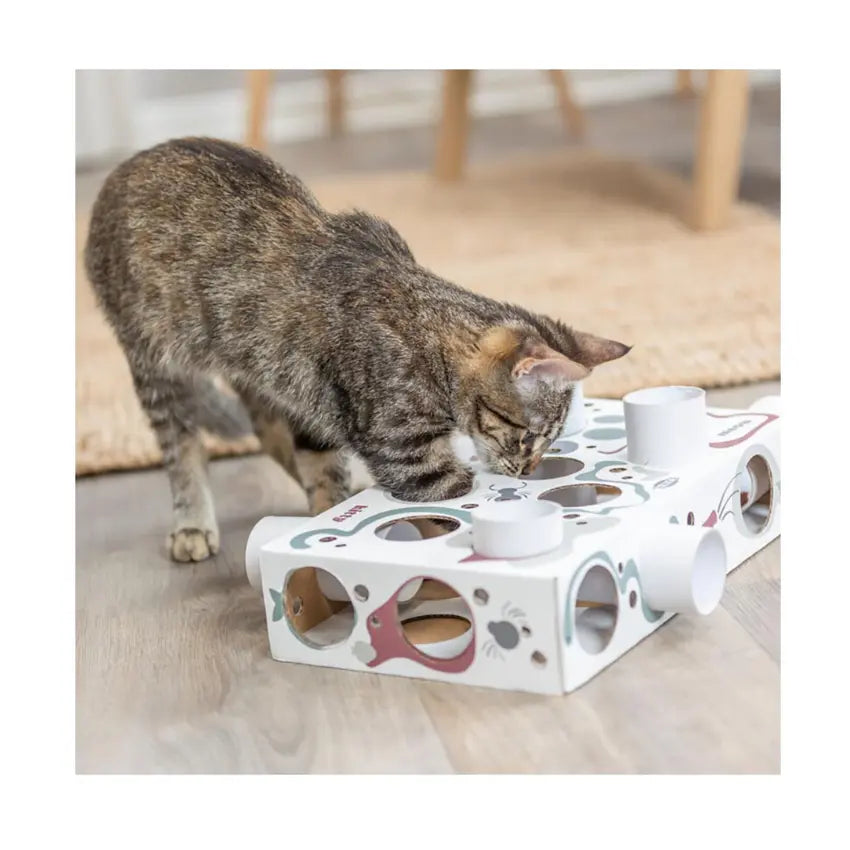 Jogo Paw N Treats Box em Cartão