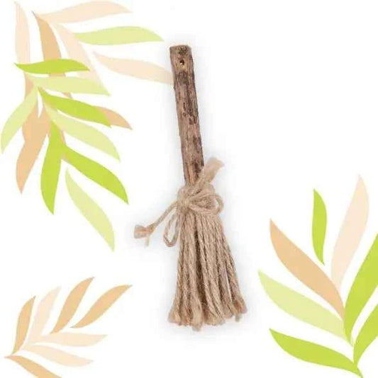 Ethi'cat Matatabi com Vassoura