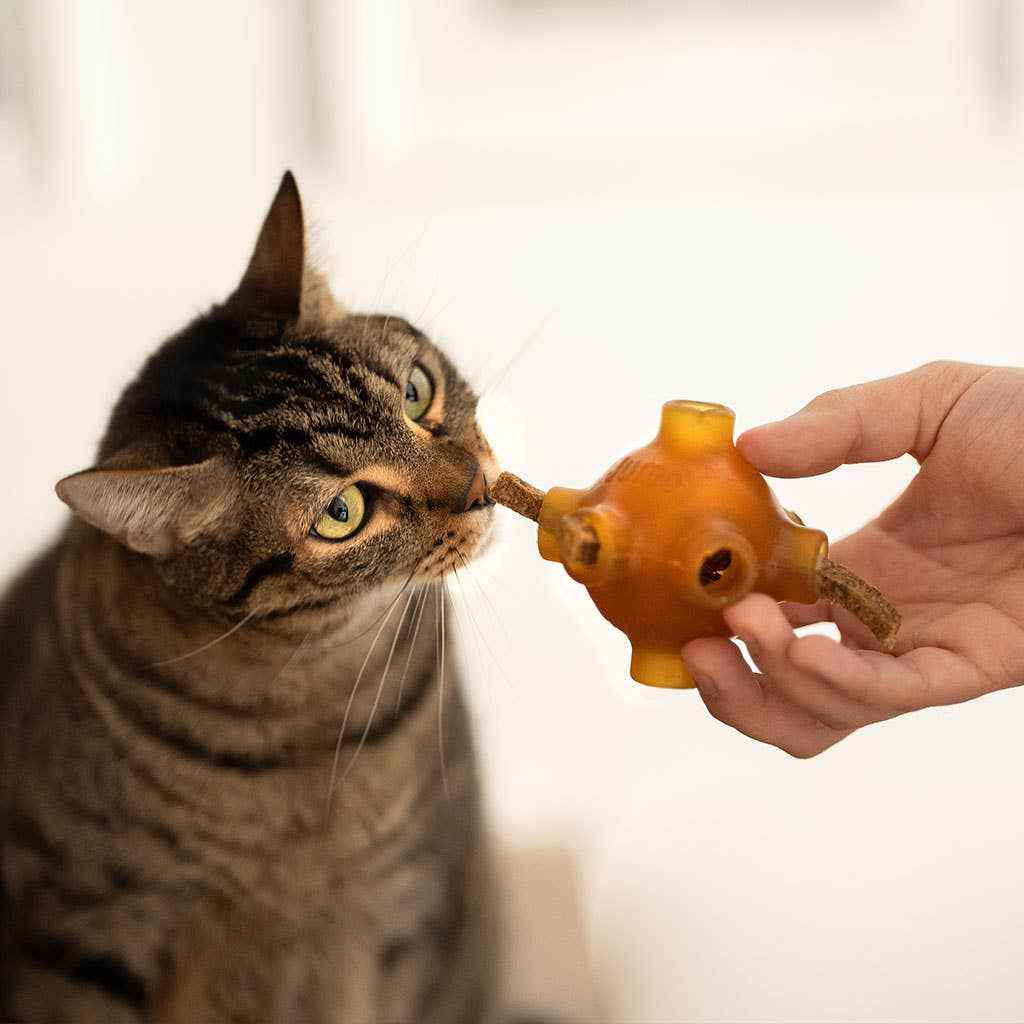 🦷 Snacks Dentários de Frango Naturais – Higiene Bucal Deliciosa