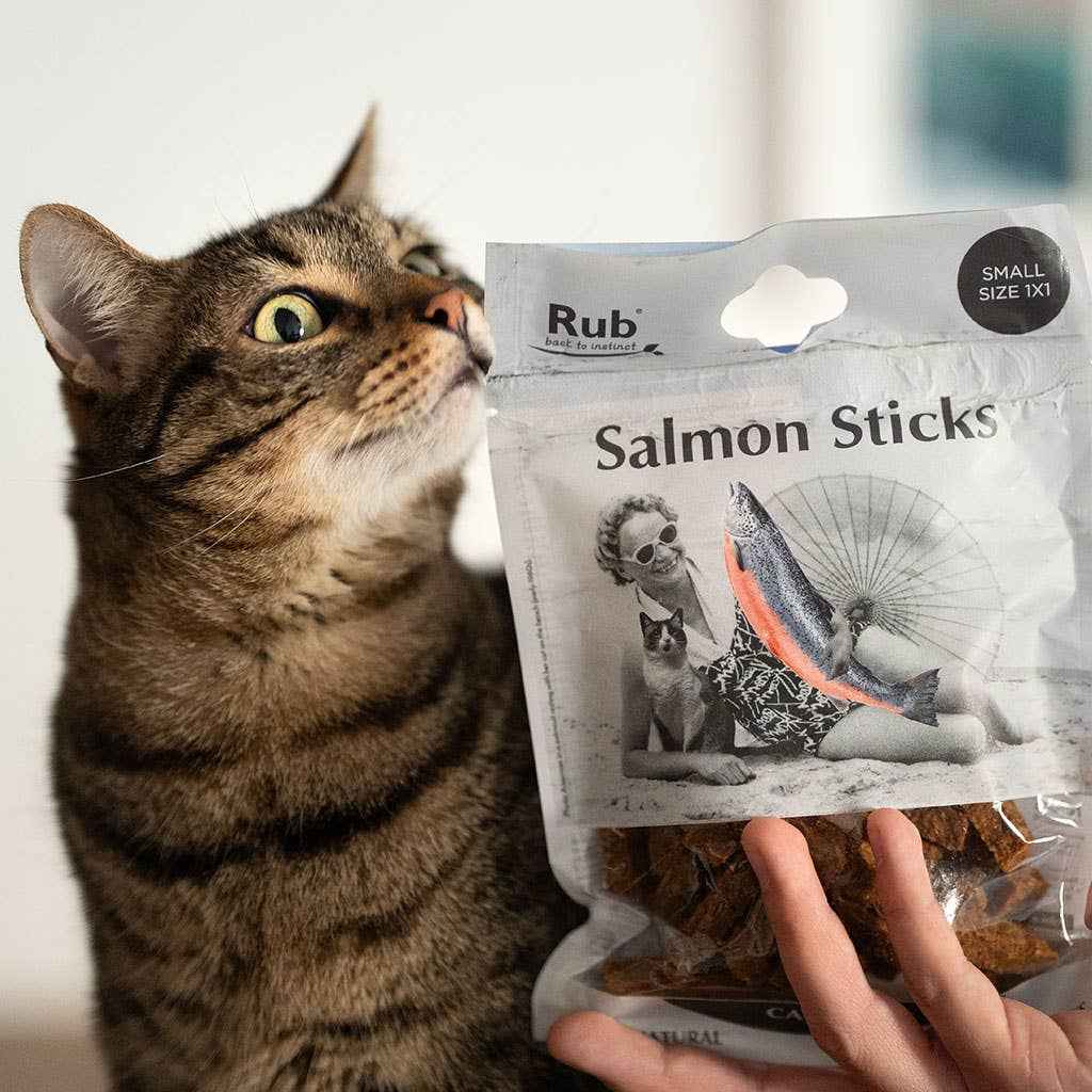 🦷 Snack Dentário Natural de Salmão – Higiene e Sabor num só!