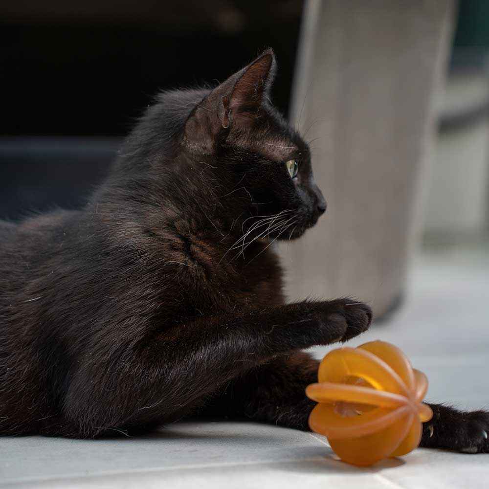 Rub Funny Ball - Brinquedo Orgânico para Gatos