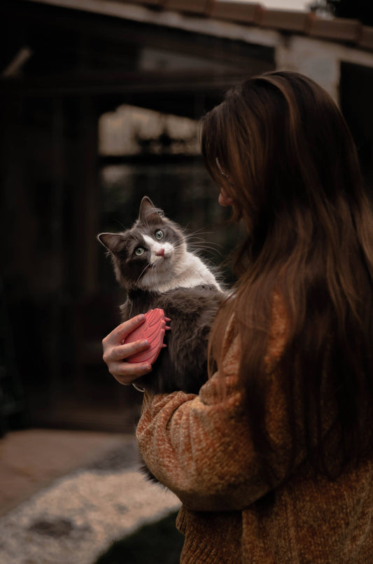 Escova para Massagem e Remoção de Pelos - Gatursos