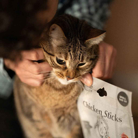 Snacks Dentários de Frango para Gatinhos | Higiene e Diversão