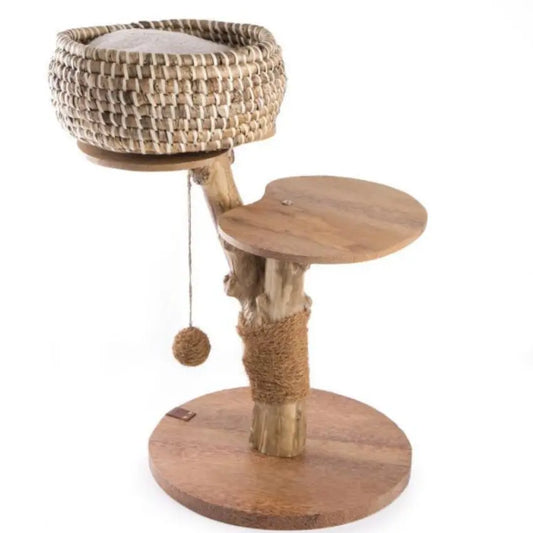 Árvore para gatos Cafeeiro Panier com base redonda em madeira e cesto em jacinto-de-água
