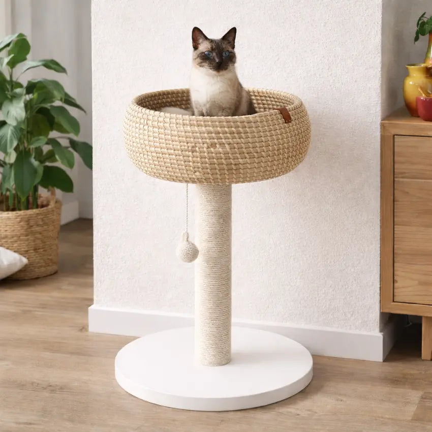 Árvore para gatos Blanca Nid com base redonda e cesto