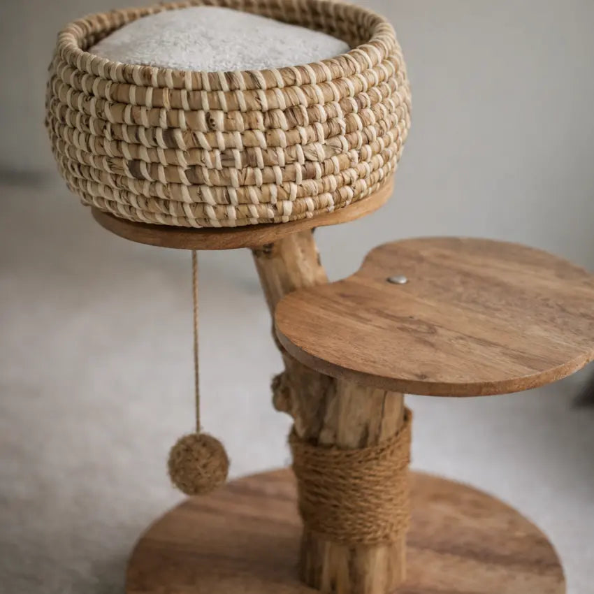 Detalhe do cesto em jacinto-de-água com almofada da árvore para gatos Cafeeiro Panier