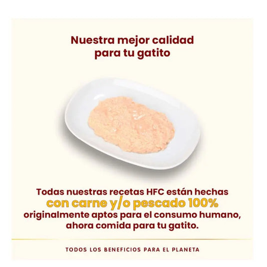 Textura macia de comida húmida para gatinhos com frango