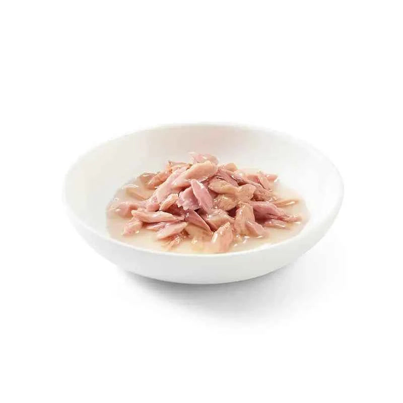 Schesir Atum em Caldo - 14 x 70 gr - Gatursos